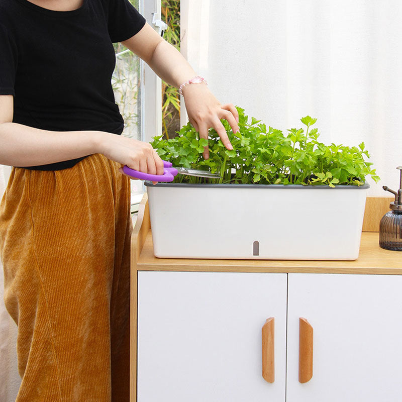 Self-Watering Planter Pots