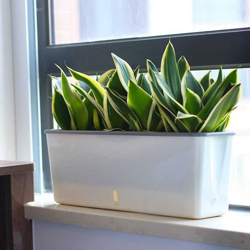 Self-Watering Planter Pots